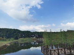 -同里国家湿地公园