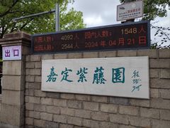 -嘉定紫藤园