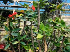 -国家植物园南园