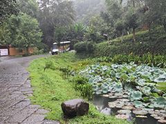 -常德桃花源景区