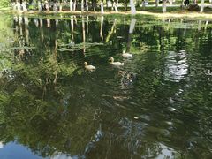 -长白岛森林公园