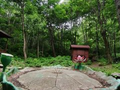 -香炉山国家森林公园