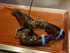 -松临·铁板烧&Omakase(神农店)