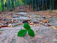 -众神白水涧景区