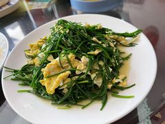 沙葱炒蛋-范记靖远羊羔肉(博物馆店)
