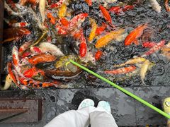 -三亚湾海居雅高铂尔曼度假酒店