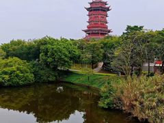 -厦门园林博览苑