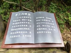 -茅兰沟国家森林公园