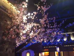 -绿茶餐厅(松江万达店)