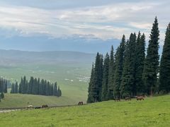-新疆那拉提国家旅游度假区