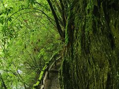 -神农架香溪源景区