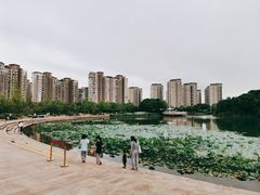 -新江湾城公园