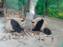 -灵玲国际马戏城
