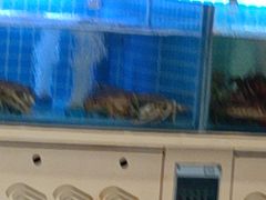 -七欣天香辣蟹火锅(南京桥北太平店)