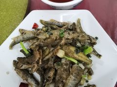 -品雅轩农家乐