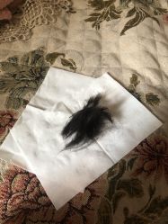 -禧婴婴儿理胎发·胎毛笔定制纪念品(新街口店)