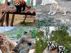 -泉州海丝野生动物世界