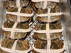 -阳澄湖大闸蟹·琼灵阁牌品牌连锁(吴中总店)