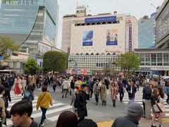 -涩谷全向十字路口