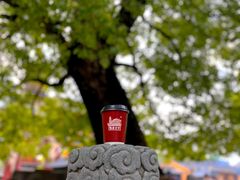 -龙华寺