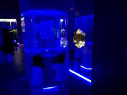 点击看大图 -酷嗒动物文化乐园(cutezoo西溪乐天城店)