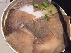 -辣伍鲜毛肚老火锅(元一店)