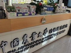 -中国农业大学动物医院