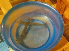 -渔家火锅·海鲜自助餐·演艺(亚龙湾天域酒店)