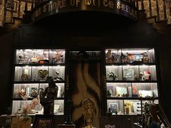 -雪灵魔法世界SHELLY’S TAROT(大良桂畔里店)