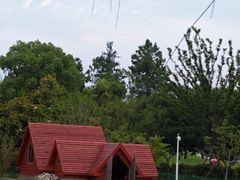 -同济大学(嘉定校区)