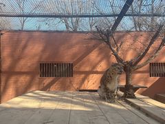 -青藏高原野生动物园