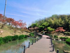 -南京珍珠泉风景区