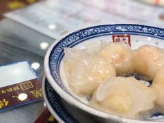 -赵氏传承特色牛奶甜品店(达明店)