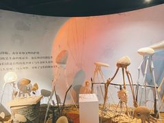 -宁波科学探索中心