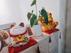 -元一肌肤管理中心