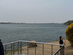 -丁香湖公园