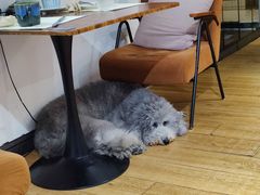 -沏点Trattoria意大利餐厅(新街口店)