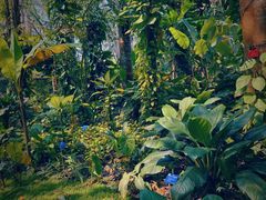 -中国科学院西双版纳热带植物园