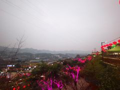 -枇杷园食为鲜火锅(南山店)