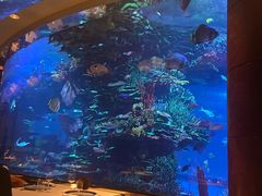 -迪拜帆船酒店海底餐厅