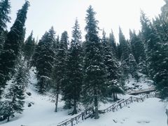 -丝绸之路山地度假区滑雪场