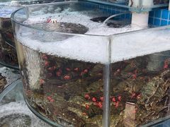 -仙螺岛海鲜自助餐厅(总店)