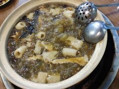 -杨记山珍鸡煲菌汤锅