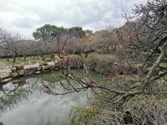 -香雪海
