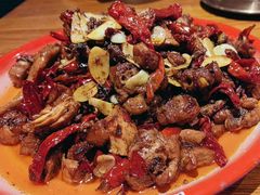 -柴窝堡22号辣子鸡·传承新疆菜