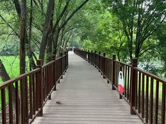 -北京麋鹿生态实验中心