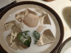-佬肥猫(国华广场店)