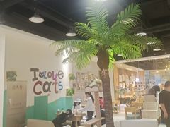 -藏猫猫咖啡主题馆(中央大道店)