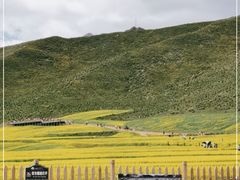 -扁都口生态休闲旅游区