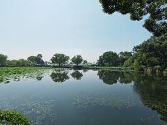 -无锡蠡湖国家湿地公园-蠡园
